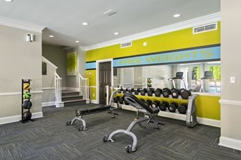 Free weights 